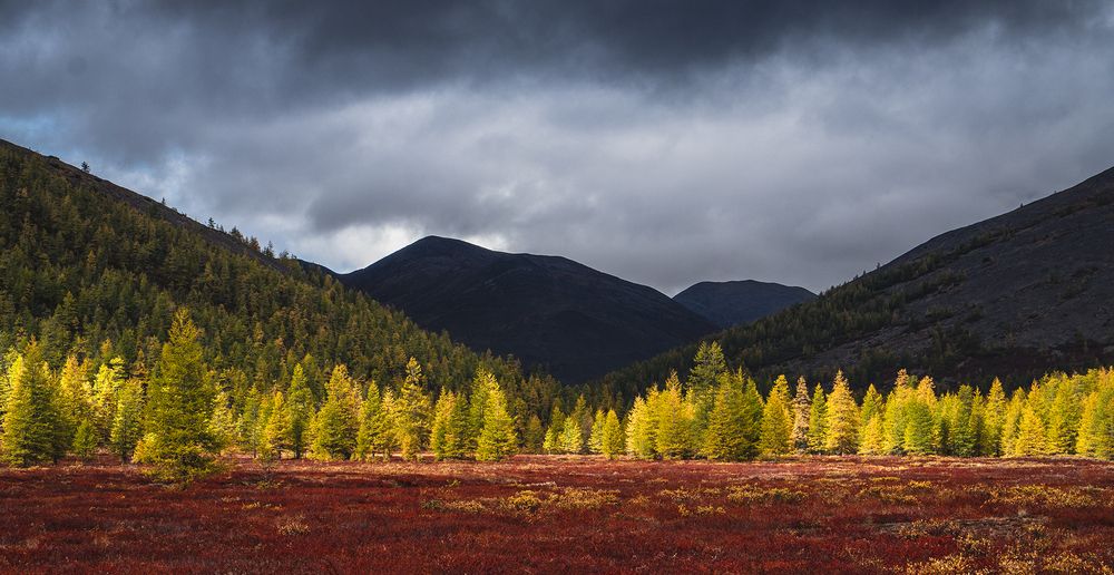 Photograph by Андреев Николай