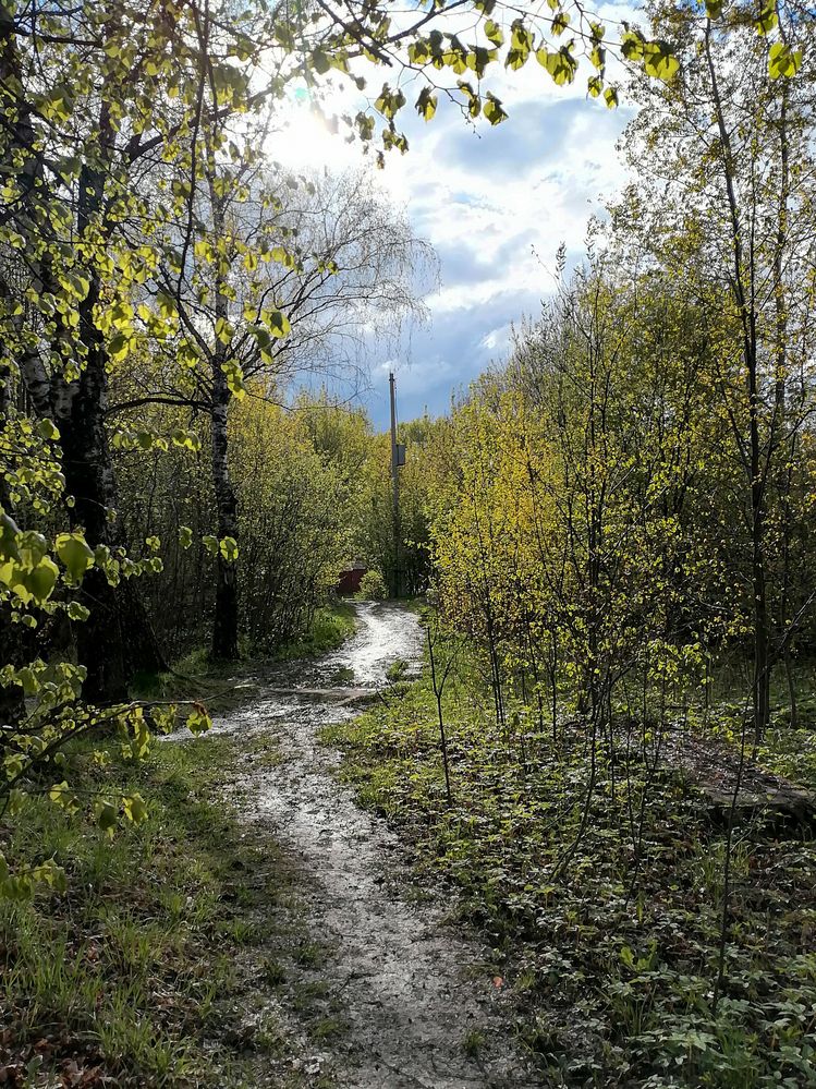 Photograph by Ксения Мельникова