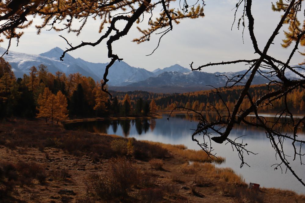 Photograph by Александра Петрова