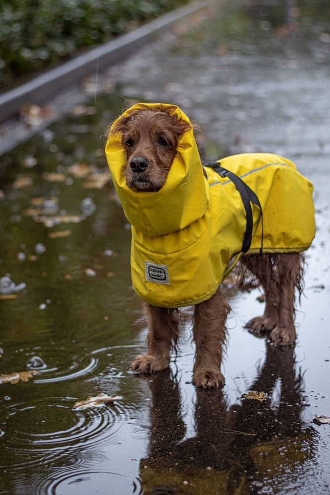 Photograph by Victoria Mogulyan