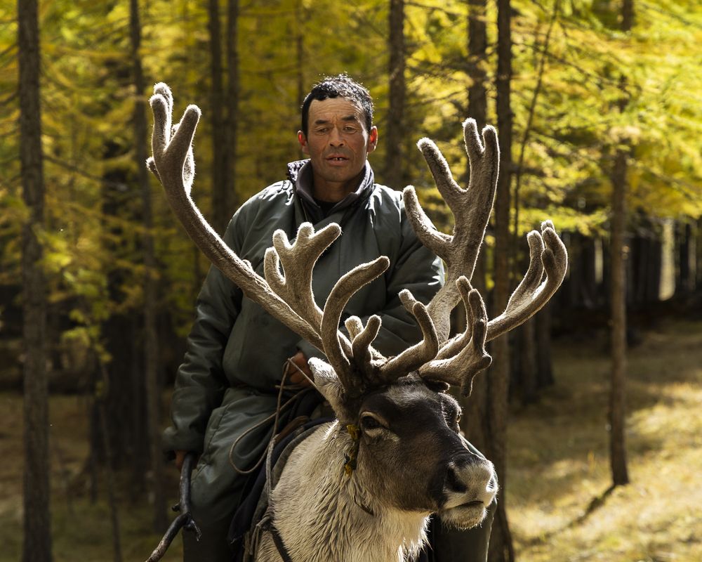 Photograph by Марина Маликова