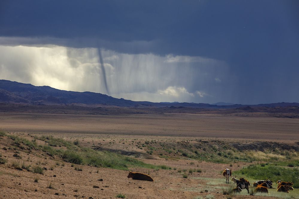 Photograph by Дмитрий Юдин