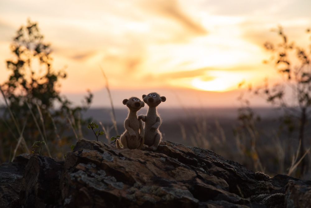 Фотография автора Ирина Яук