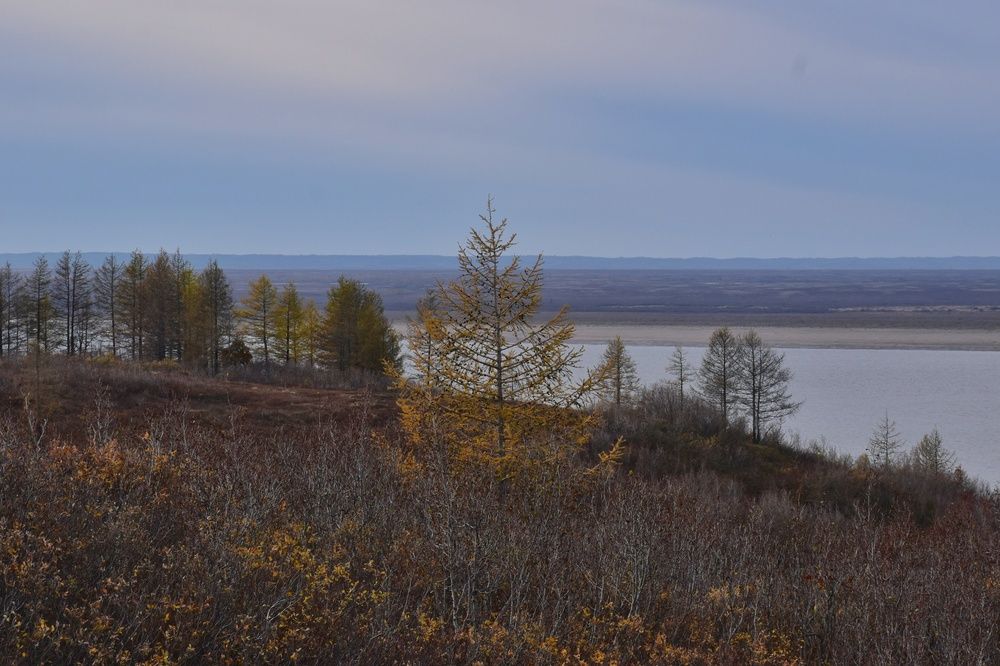 Photograph by Нина Кольман