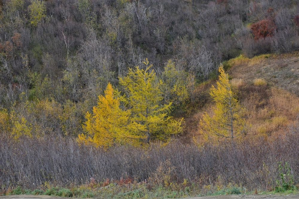 Photograph by Нина Кольман