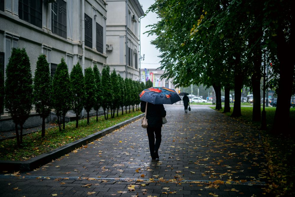 Фотография автора Dmitry BESPAMIATNYI