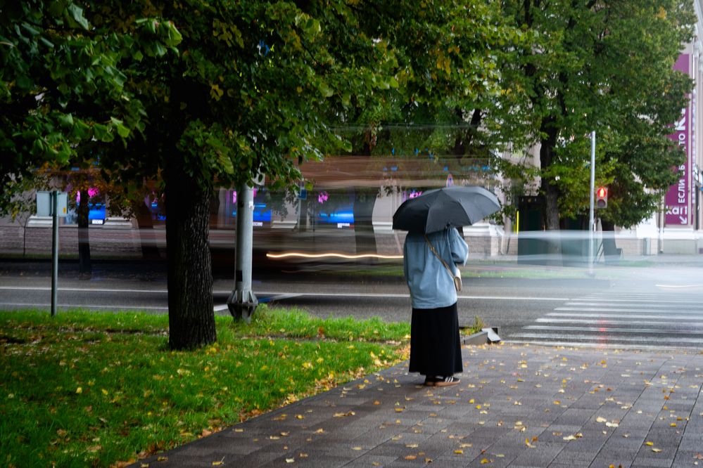 Фотография автора Dmitry BESPAMIATNYI