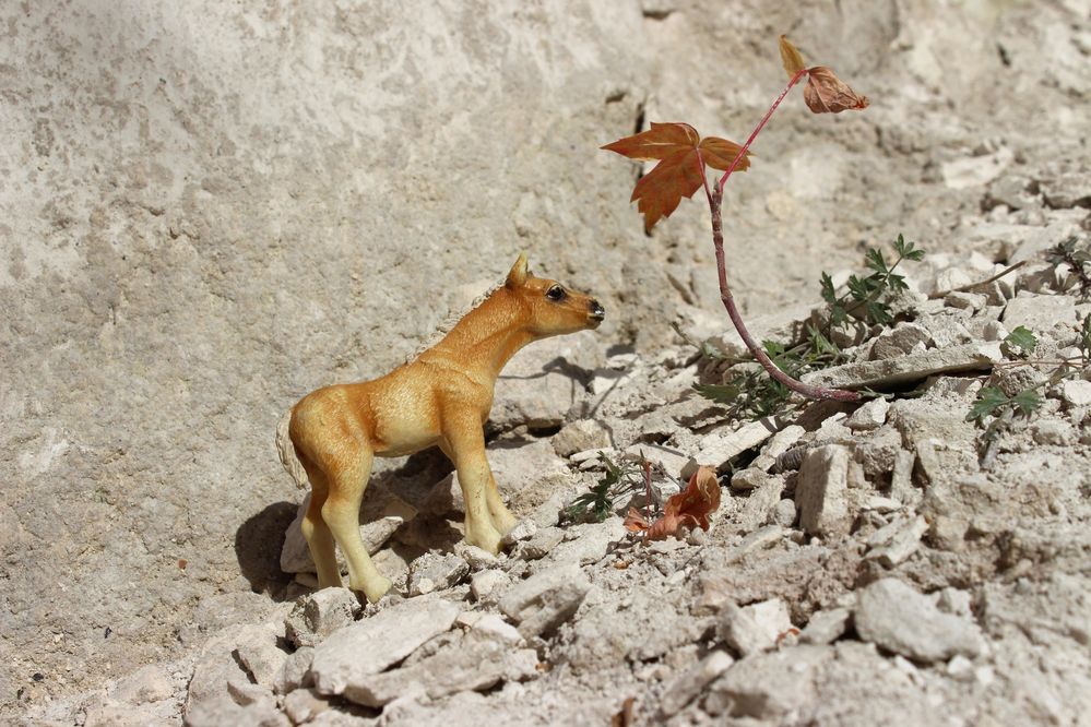 Photograph by Светлана Шубина