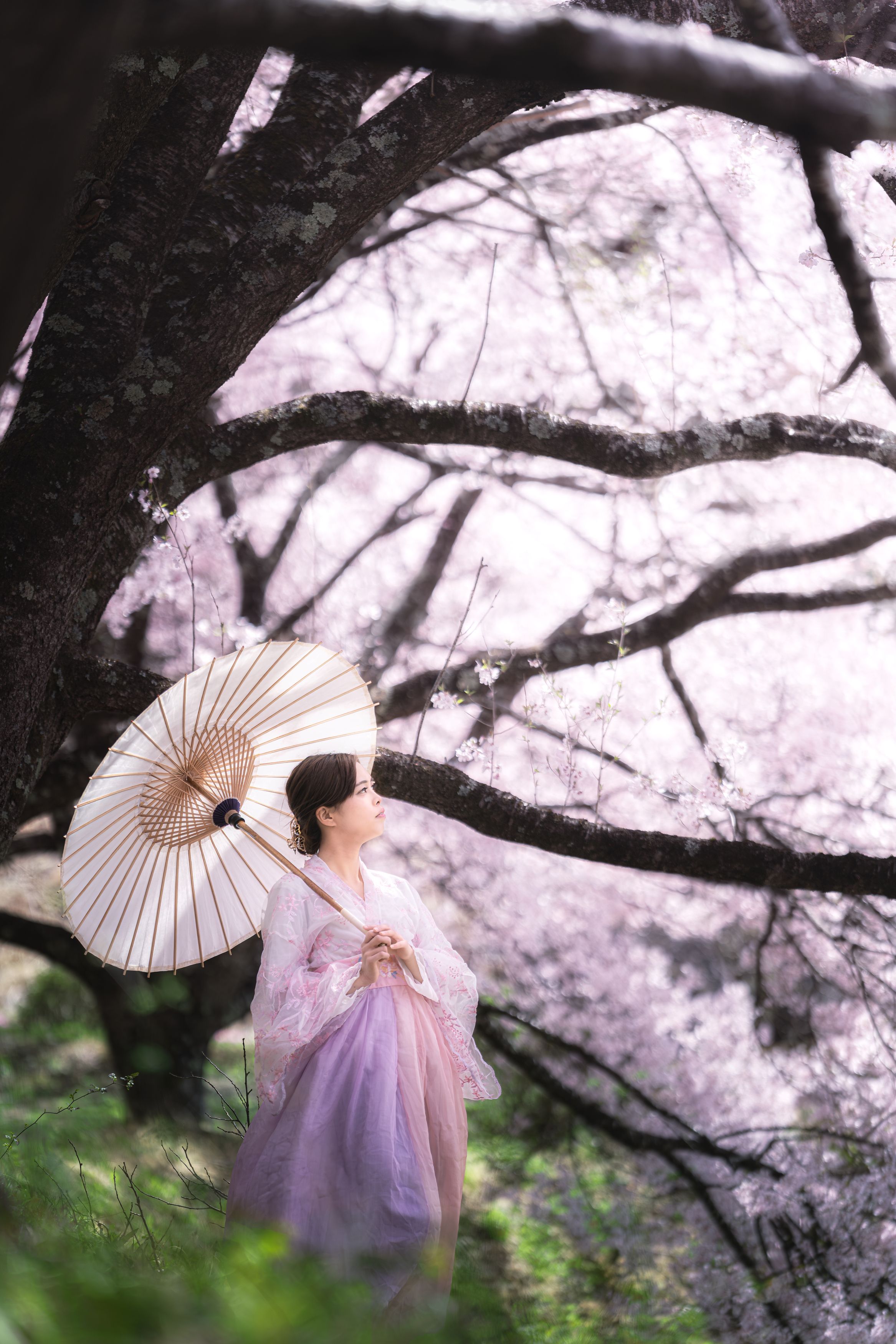 Фотография #12648246