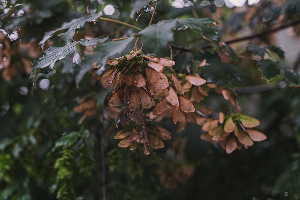 Photograph by Oxana Berezovskaya