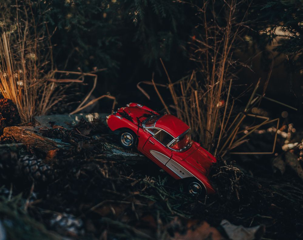 Photograph by Елена Карпова