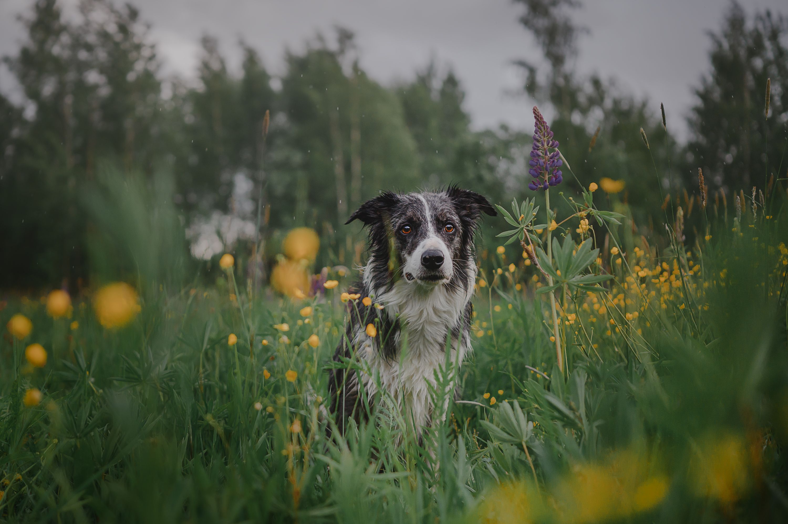 Photograph by Kate Entsi