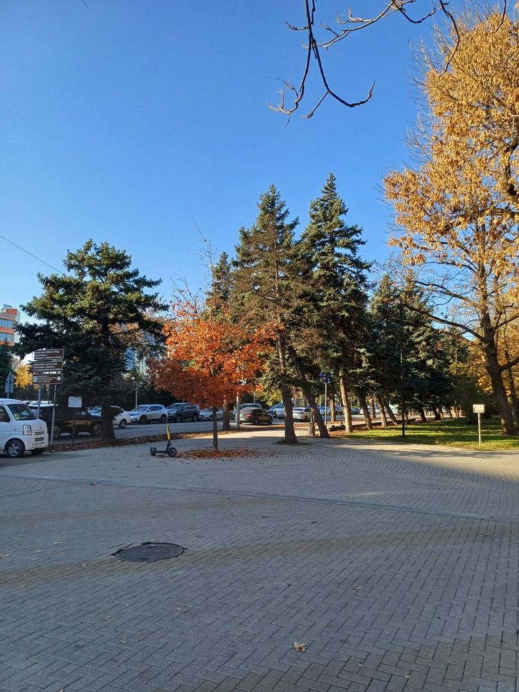 Photograph by Елена Казаренко