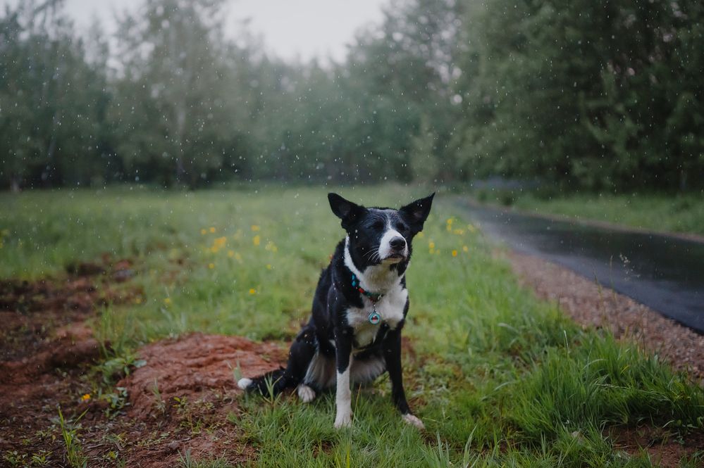 Photograph by Kate Entsi