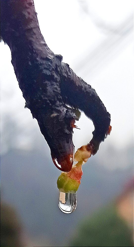 Photograph by Ольга Тихонова