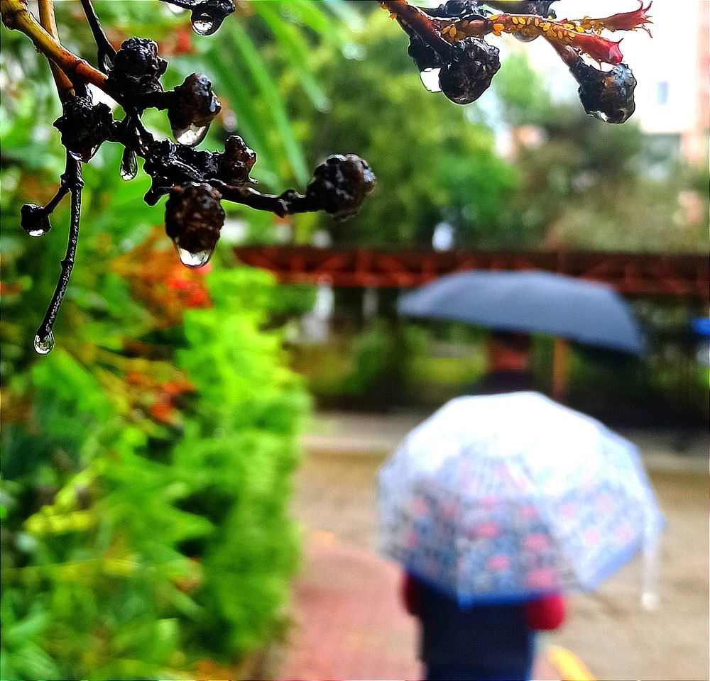 Photograph by Ольга Тихонова