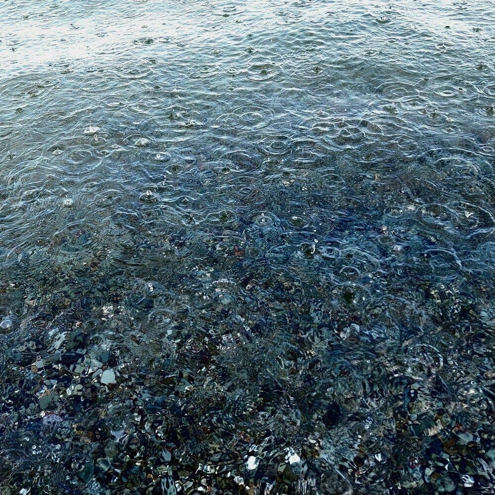 Photograph by Бороздина Мария