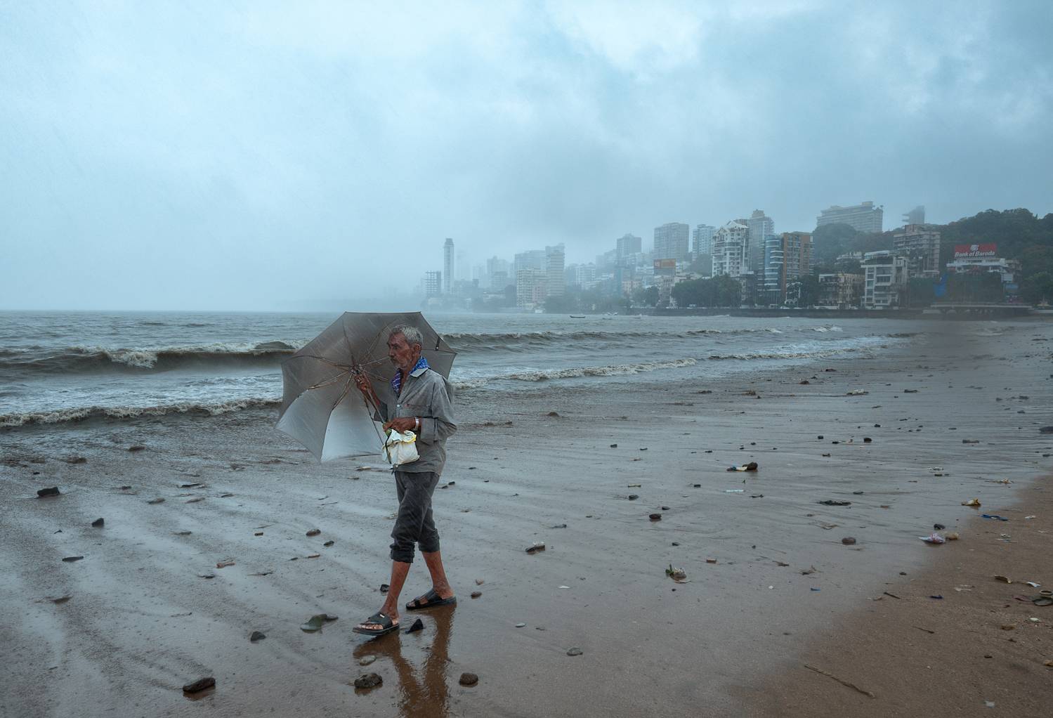 Фотография #12648448