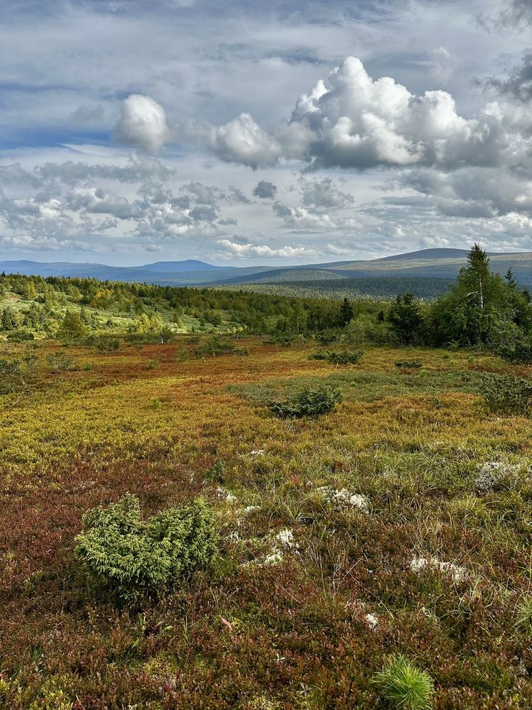 Photograph by Svetlana Rashidova