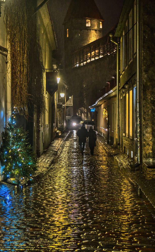 Photograph by Janis Serdienis