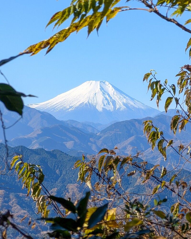 Фотография автора ron._. stagram