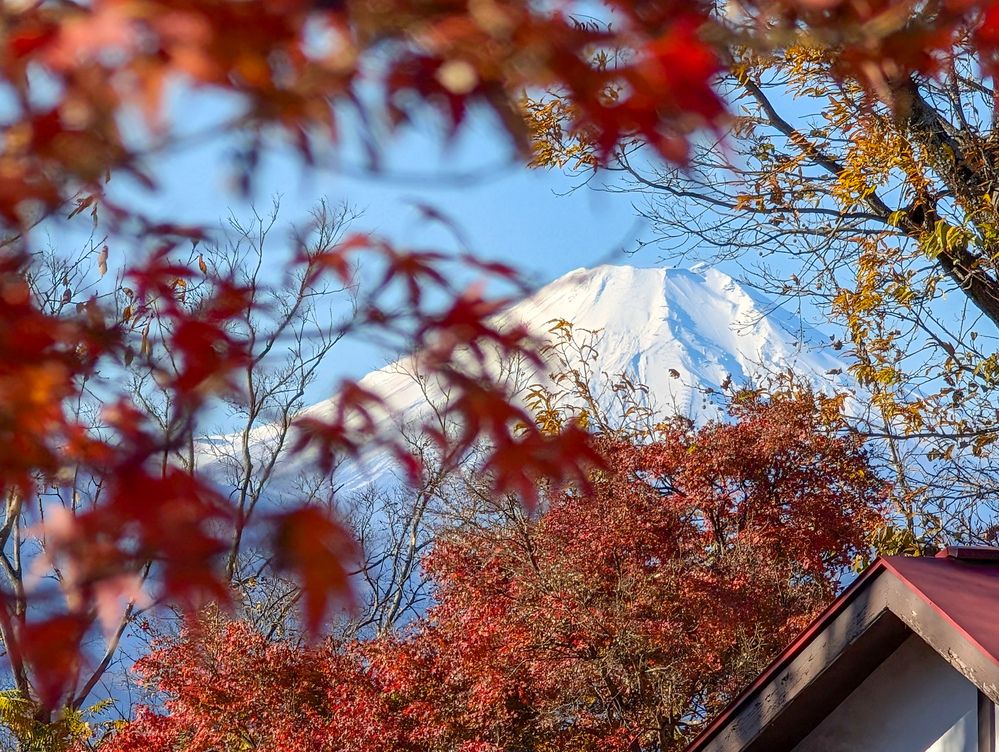 Фотография автора ron._. stagram