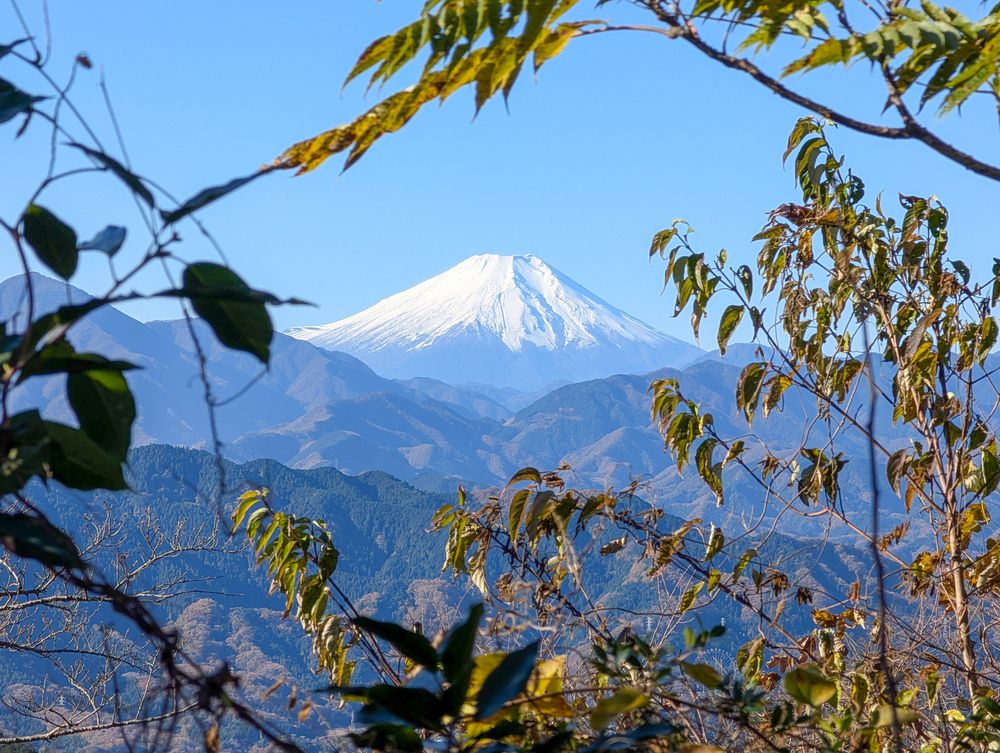 Фотография автора ron._. stagram