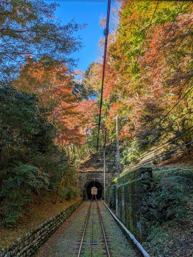 Фотография автора ron._. stagram