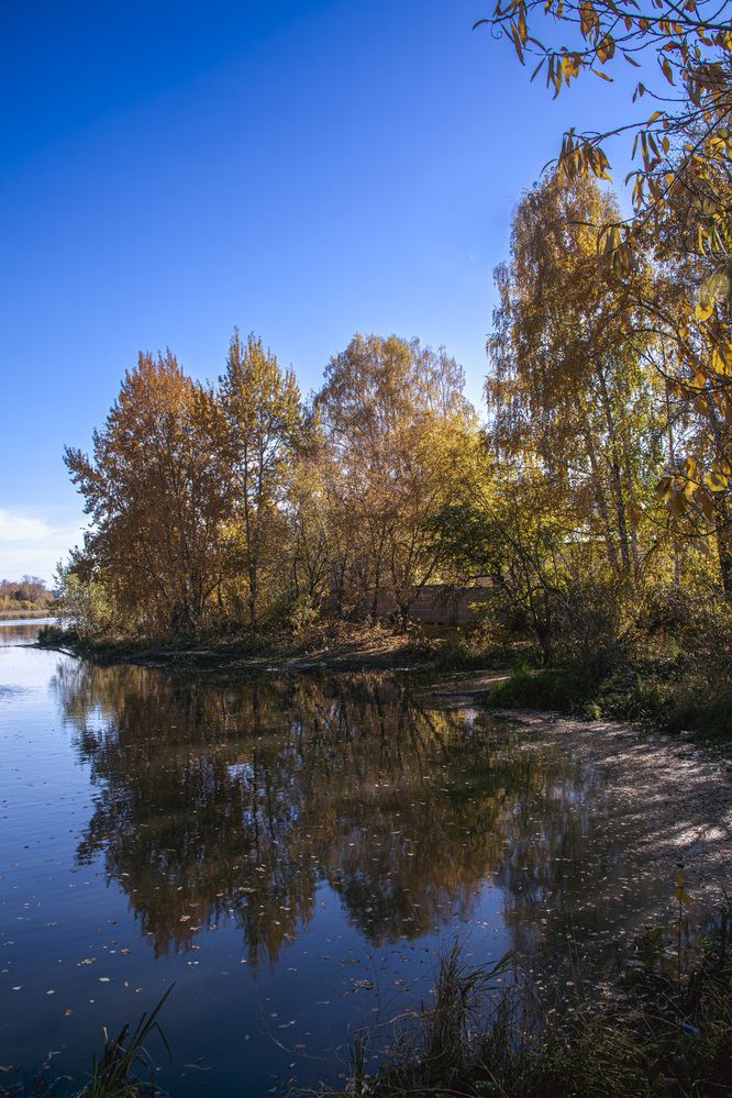 Photograph by Виктор Саврей