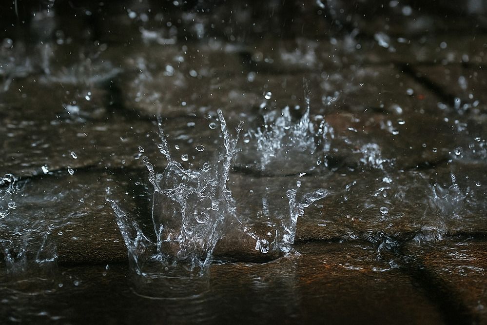 Photograph by Ambewadikar sourabh