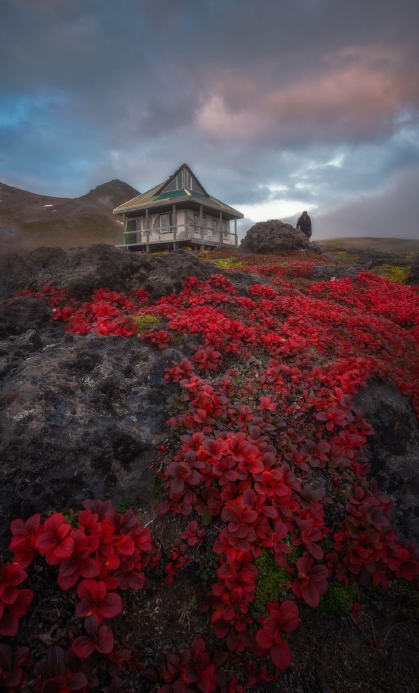 Photograph by Nargiza Kakharova