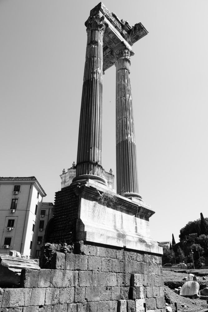 Ci sentiamo tutti Henry Schliemann