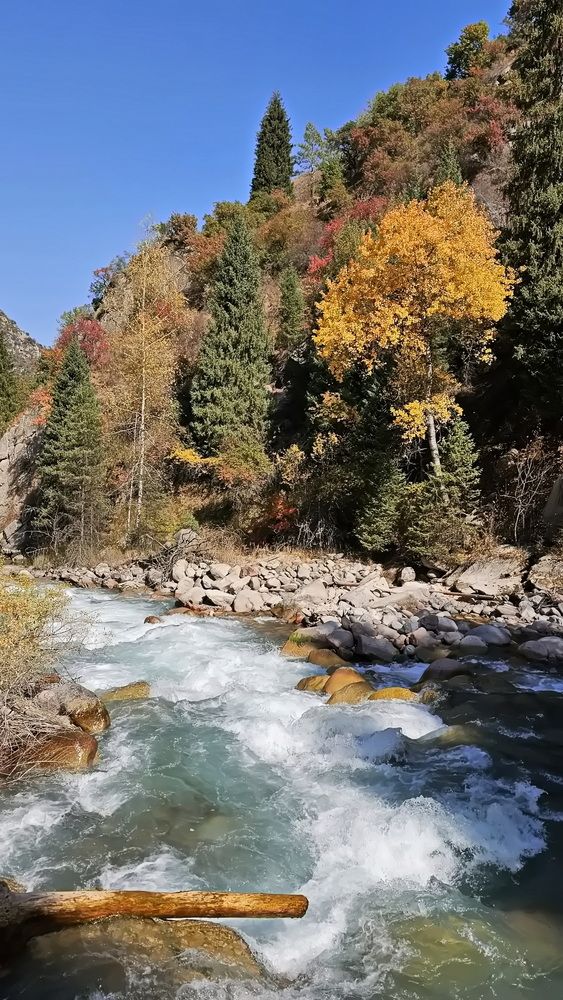 Photograph by Наталья Баранова