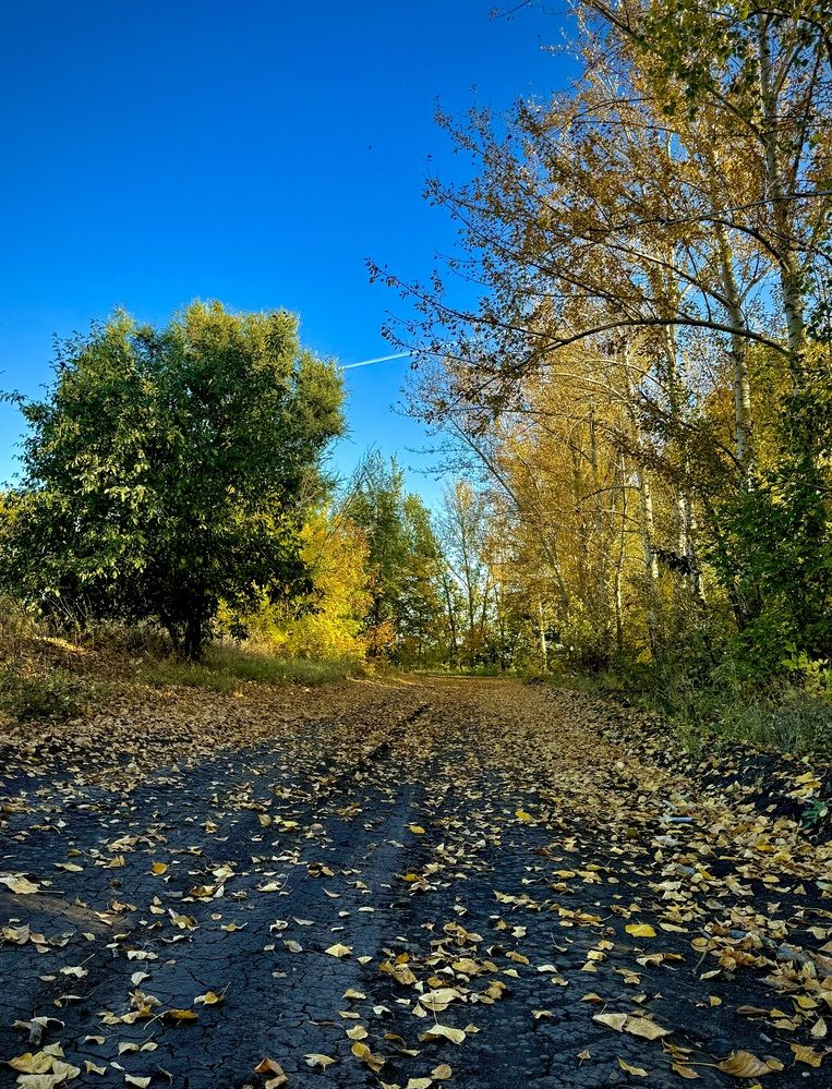 Photograph by Марина Козлова