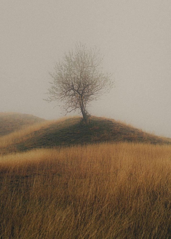 Фотография автора Сухенко Олег