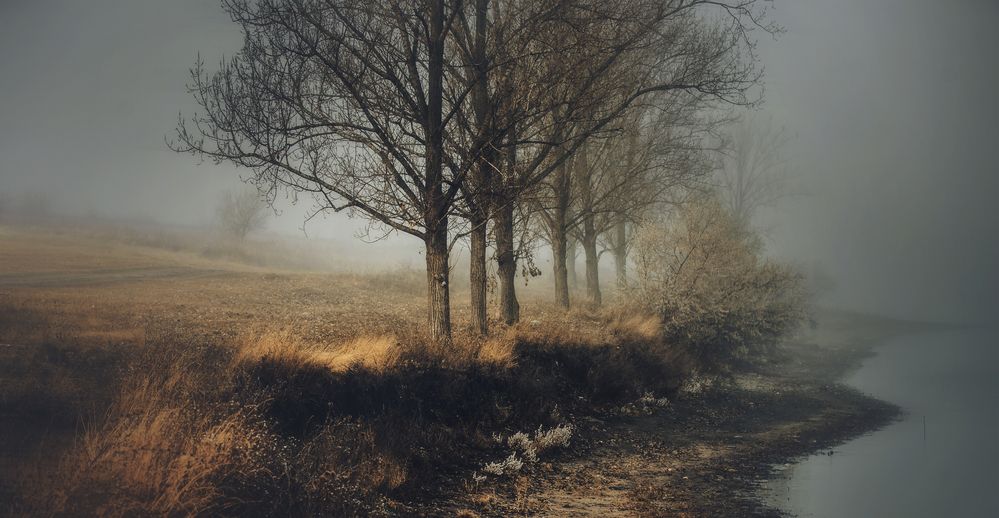 Фотография автора Олег Сухенко