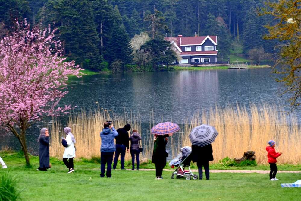 Фотография автора Irina Krasnopevzeva