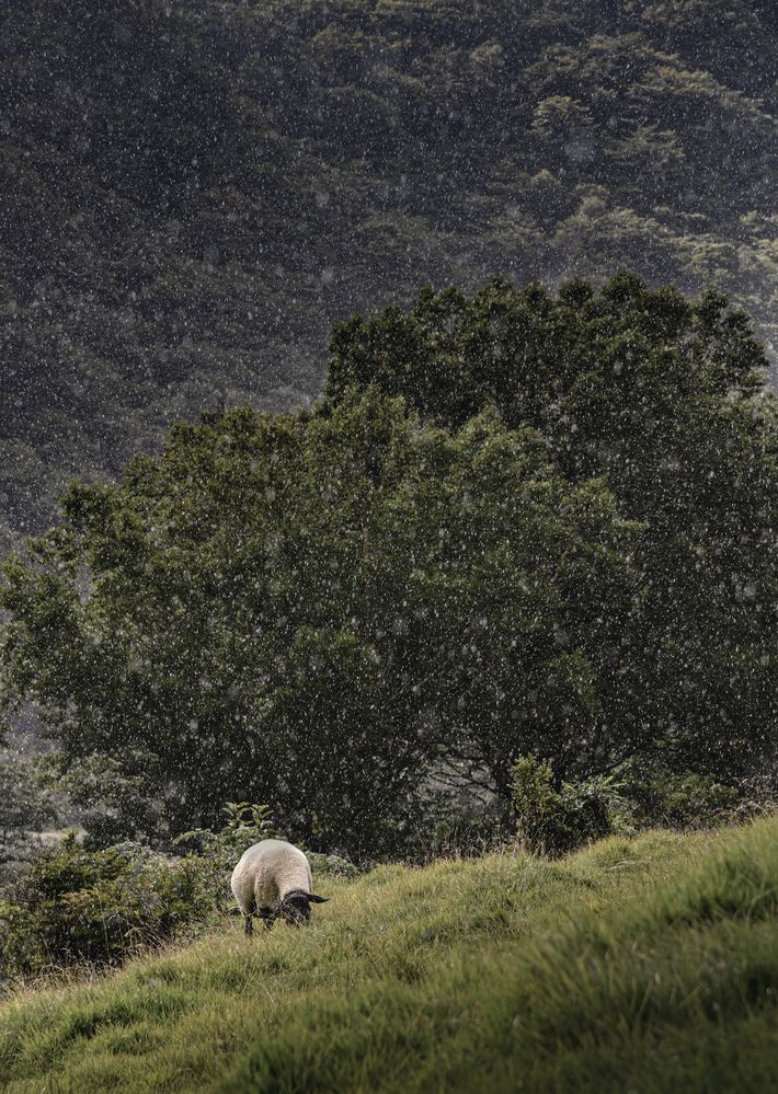 Photograph by iwamoto Reina