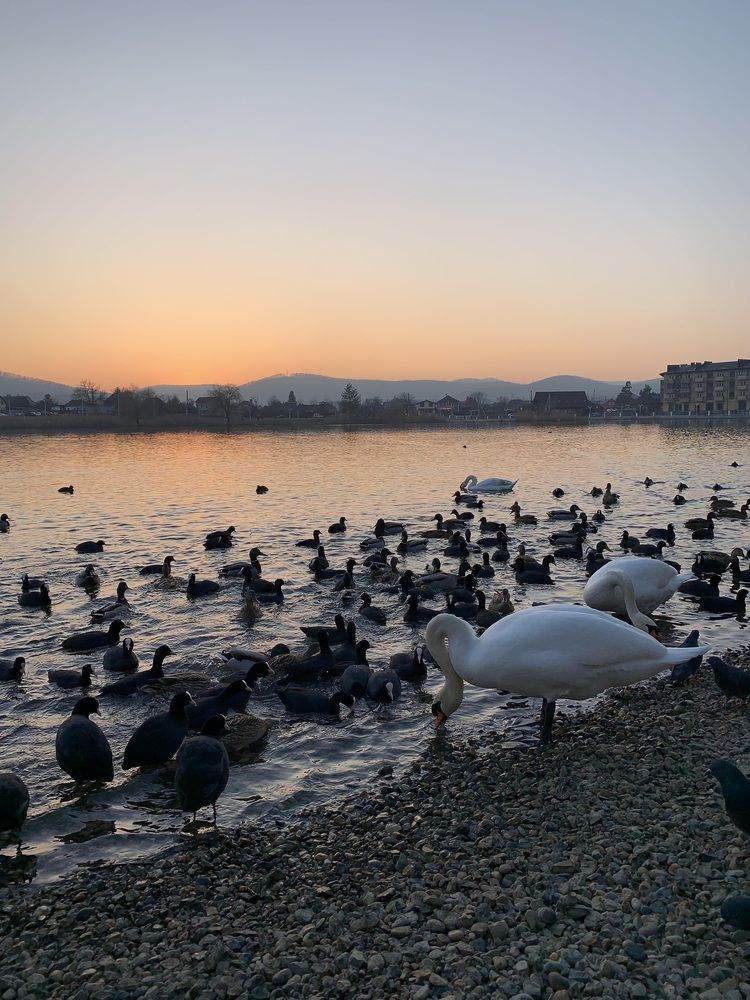 Photograph by Татьяна Семёнова