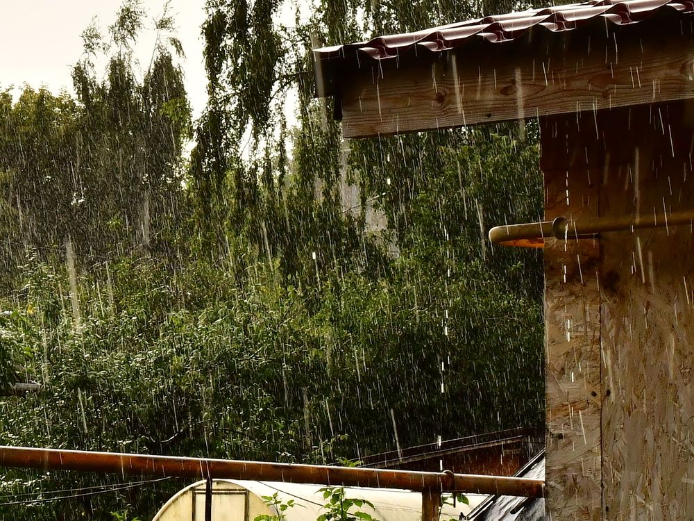 Photograph by Николай Абакумов