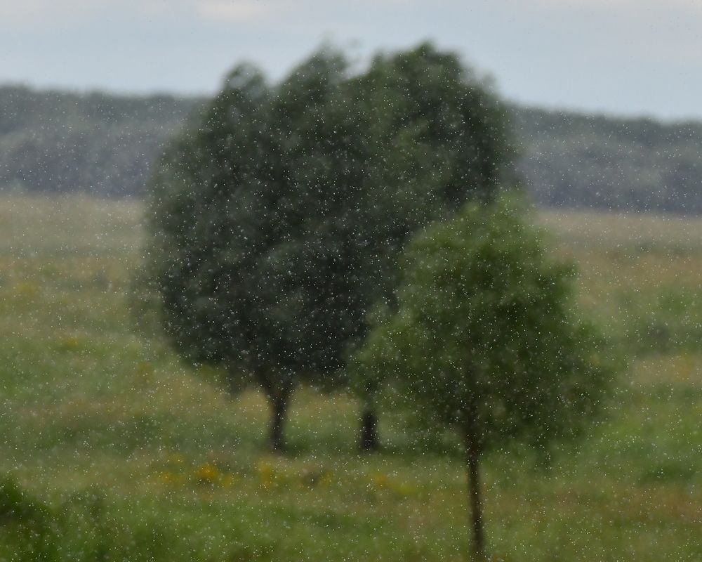 Photograph by Николай Абакумов