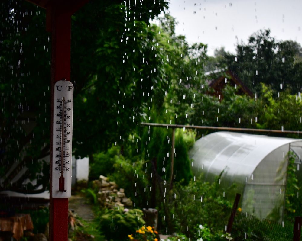 Photograph by Николай Абакумов