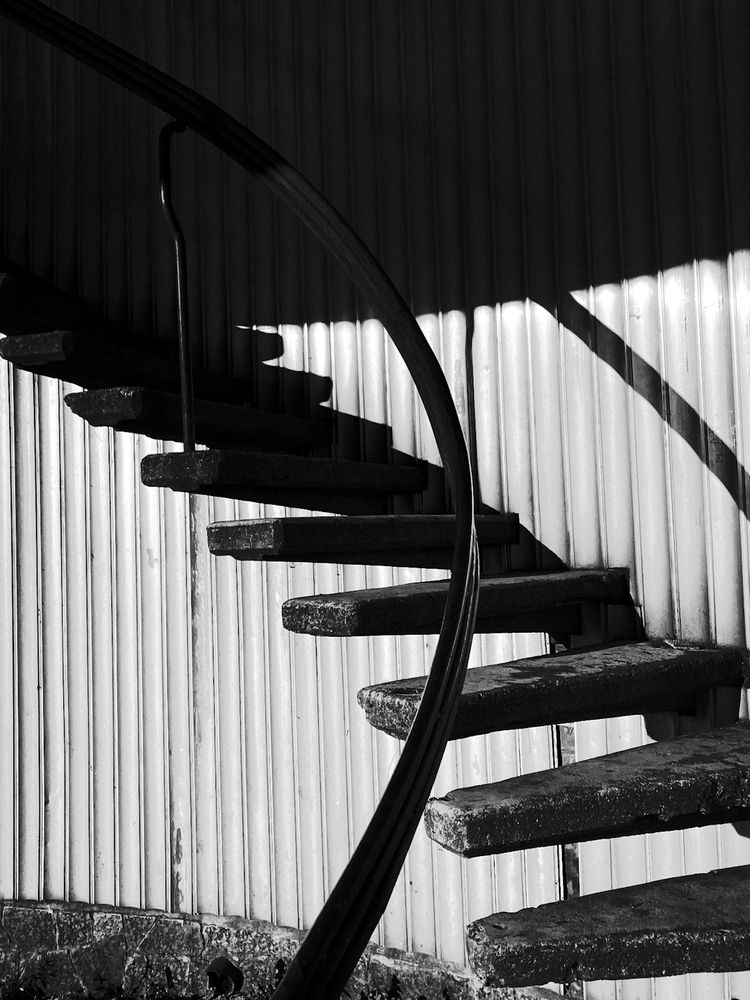 Photograph by Анастасия Гульванюк