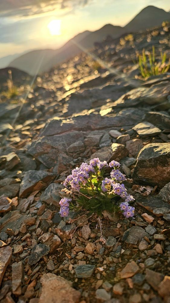 Photograph by ЕВГЕНИЯ РУДАКОВА