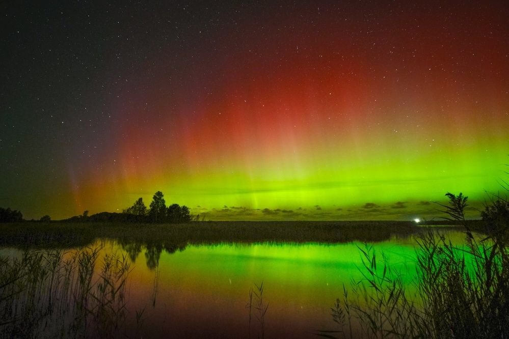 Фотография автора Elvijs Kalnins