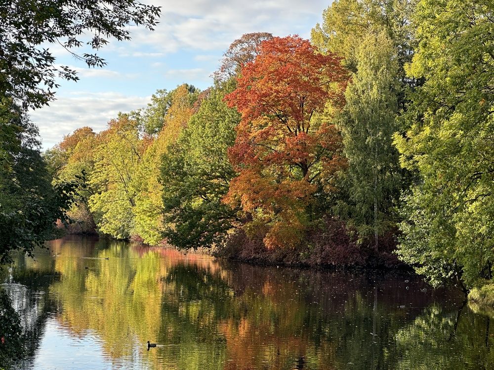 Photograph by Заломаева Надежда
