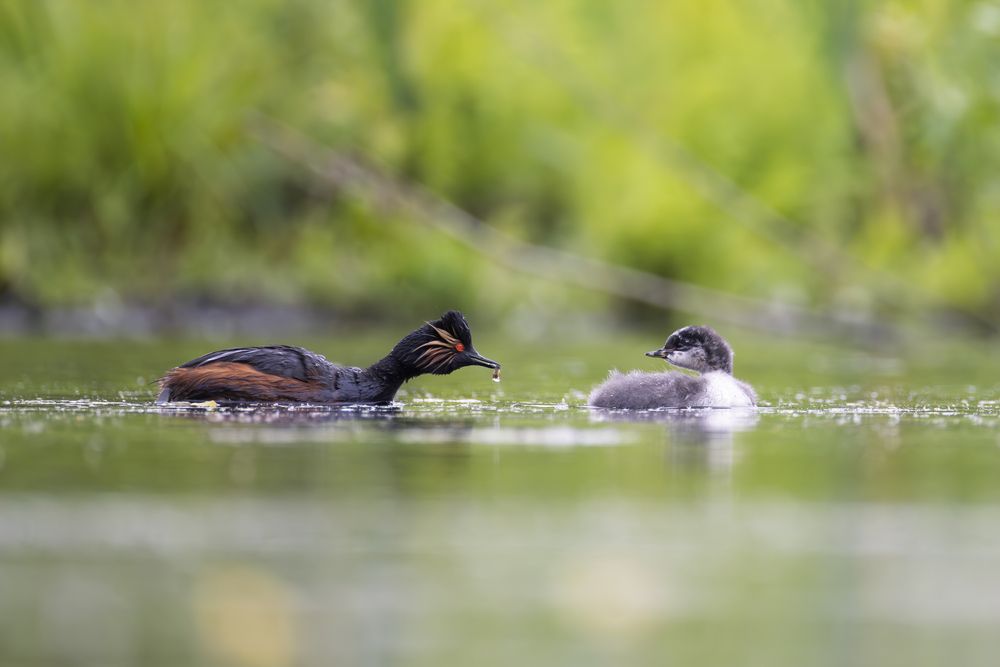 Photograph by Дмитрий Крошка