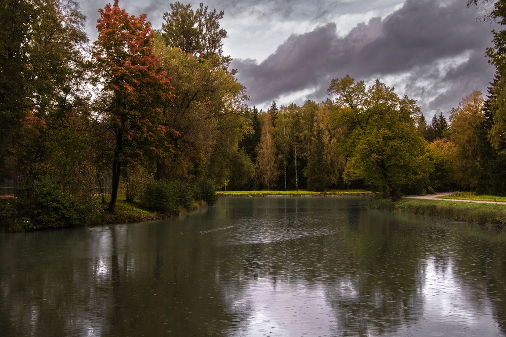 В Павловске дождь...