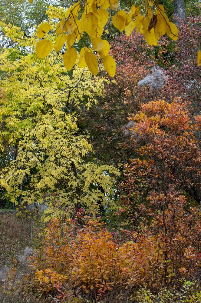 Фотография автора Татьяна Петренко