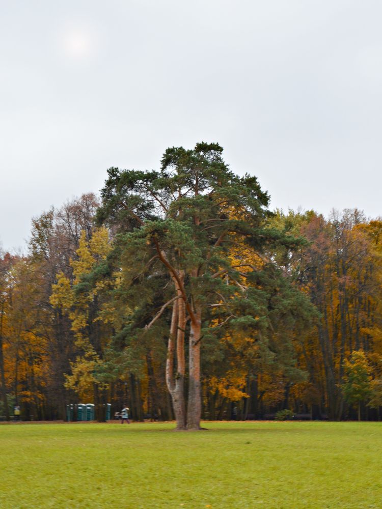 Photograph by Елена Чулюнина